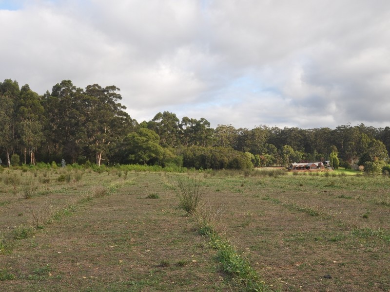 107 Burma Road, Pemberton WA 6260