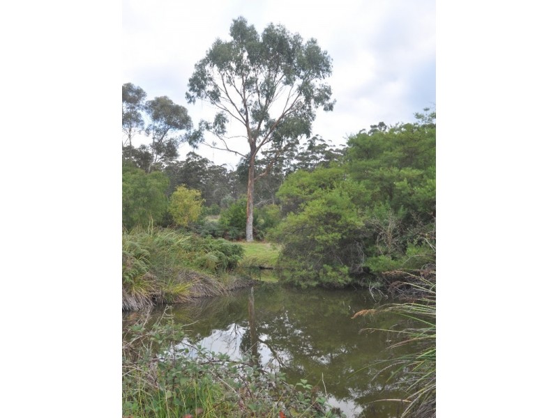 107 Burma Road, Pemberton WA 6260