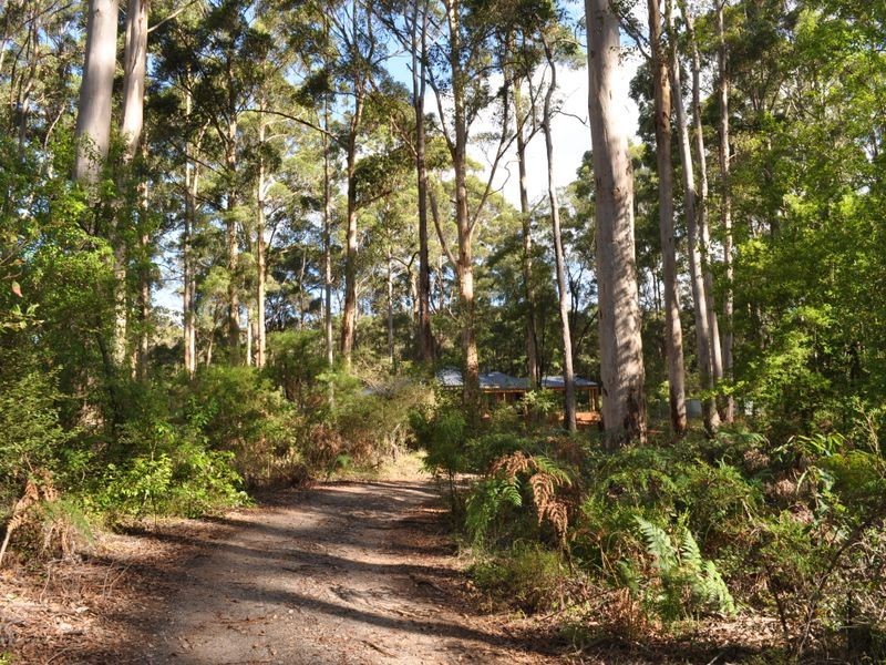 56 Browns Road, Pemberton WA 6260