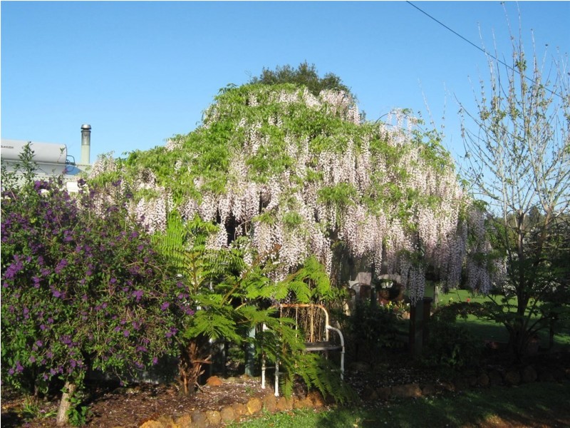 214 Browns Road, Pemberton WA 6260