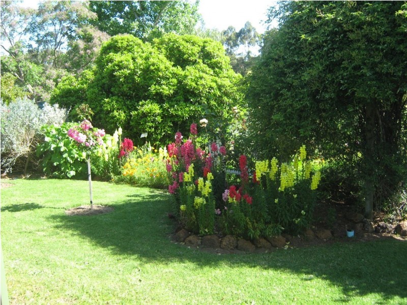 214 Browns Road, Pemberton WA 6260