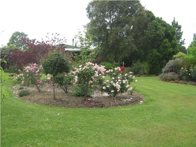 214 Browns Road, Pemberton WA 6260