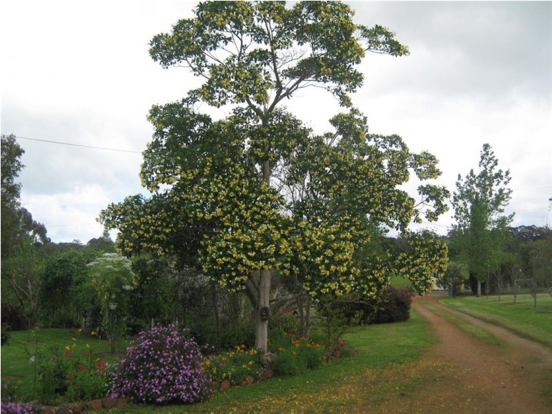 214 Browns Road, Pemberton WA 6260