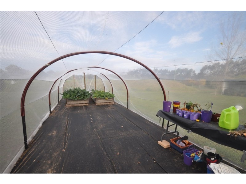 214 Browns Road, Pemberton WA 6260