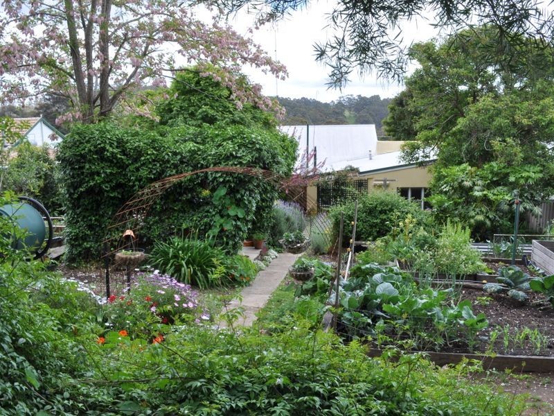 42 Guppy Street, Pemberton WA 6260