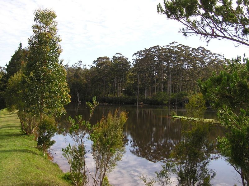 110 Vasse Highway, Pemberton WA 6260