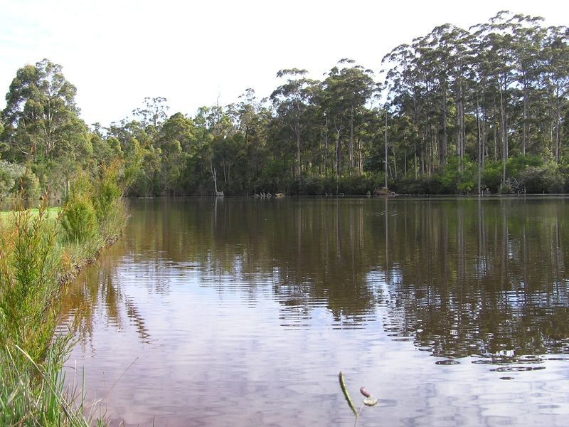 110 Vasse Highway, Pemberton WA 6260