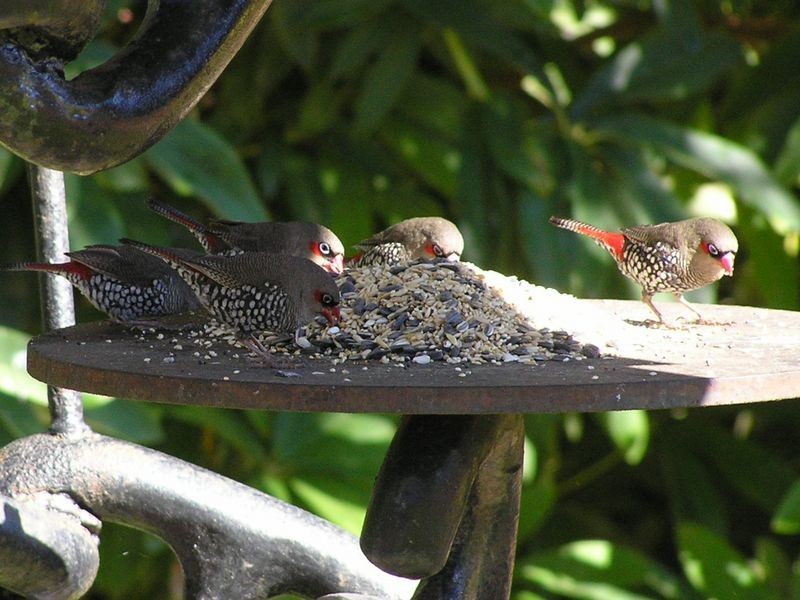 110 Vasse Highway, Pemberton WA 6260