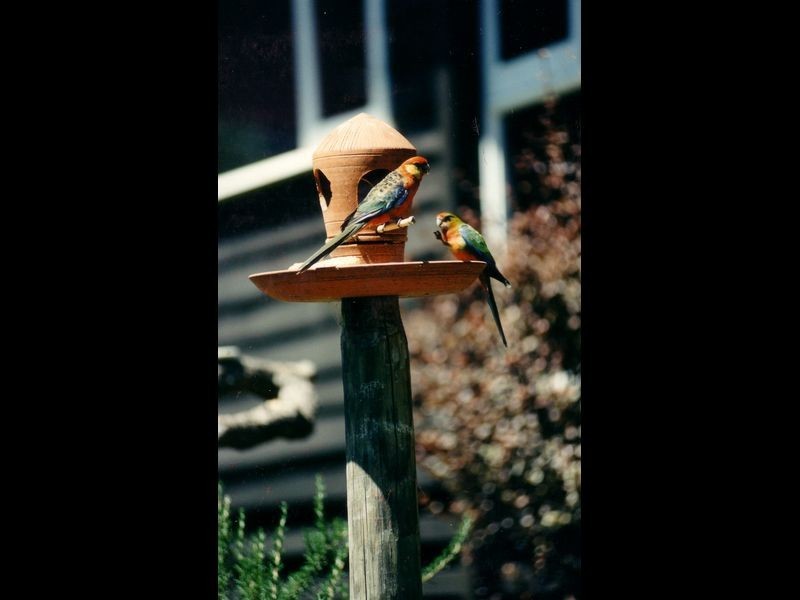 110 Vasse Highway, Pemberton WA 6260