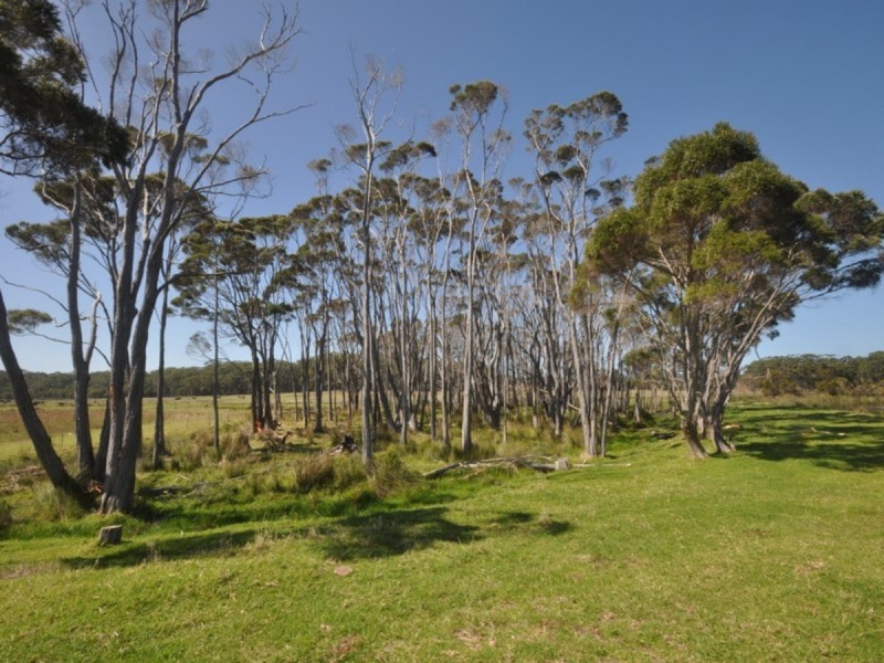 11/38491 South Western Highway, Walpole WA 6398