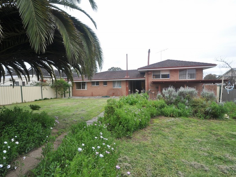 29 Edwards Street, Manjimup WA 6258