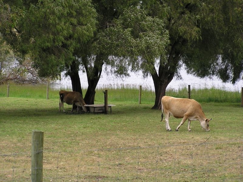 South West Highway, Pemberton WA 6260