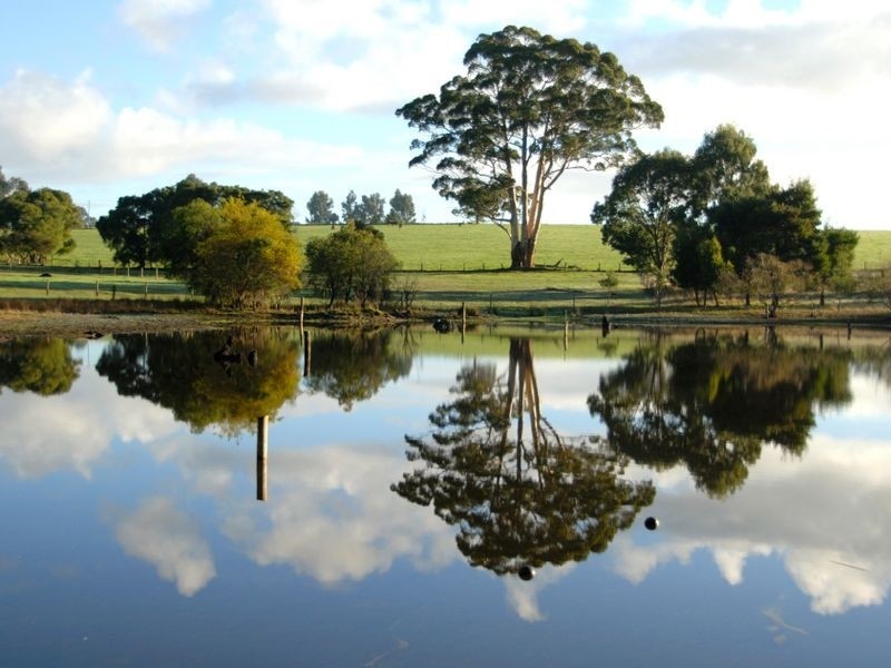 South West Highway, Pemberton WA 6260