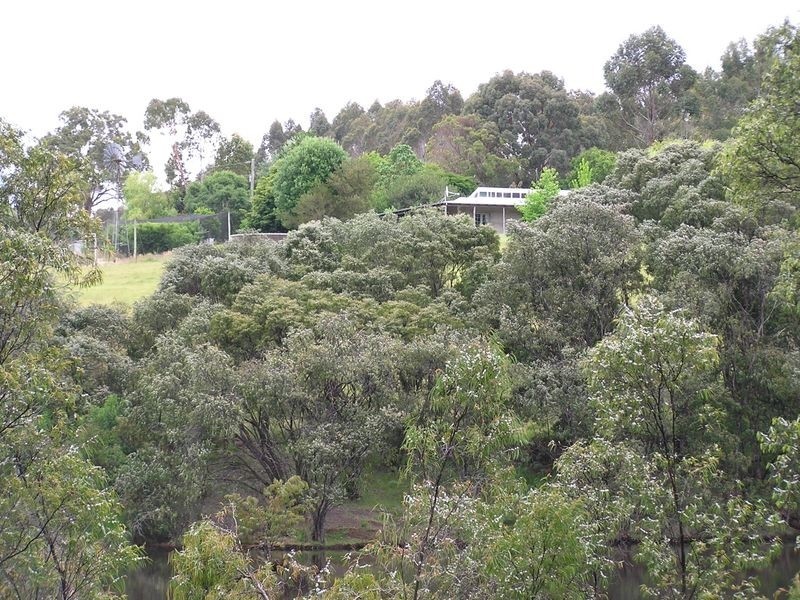 Lot 8773 Hill Brook Road, Northcliffe WA 6262