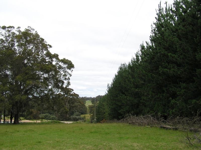 Lot 8773 Hill Brook Road, Northcliffe WA 6262