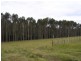 Lot 8773 Hill Brook Road, Northcliffe WA 6262