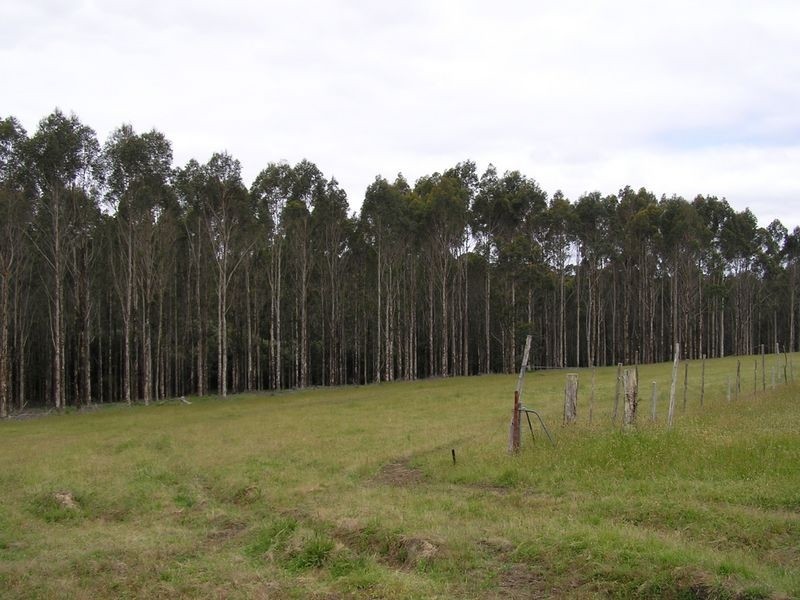 Lot 8773 Hill Brook Road, Northcliffe WA 6262