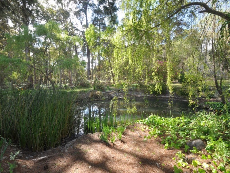 27 Clarrie Jones Place, Pemberton WA 6260