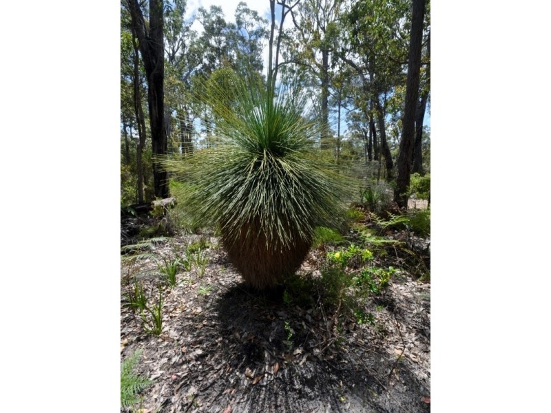 Lot 43 Karri Lane, Quinninup WA 6258