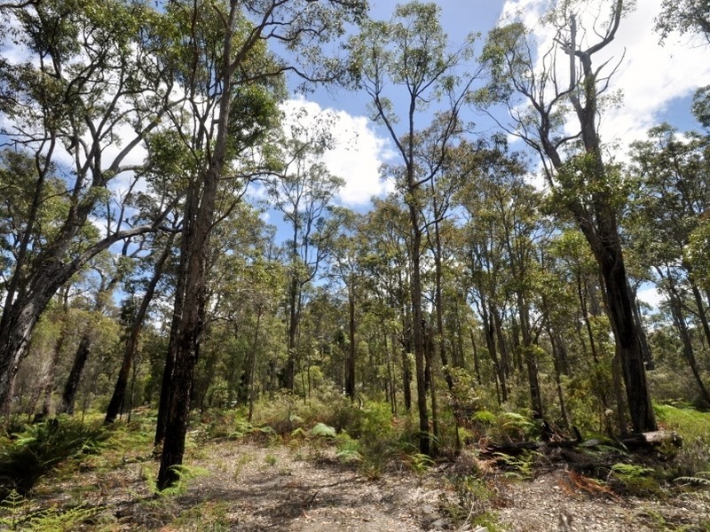 Lot 43 Karri Lane, Quinninup WA 6258