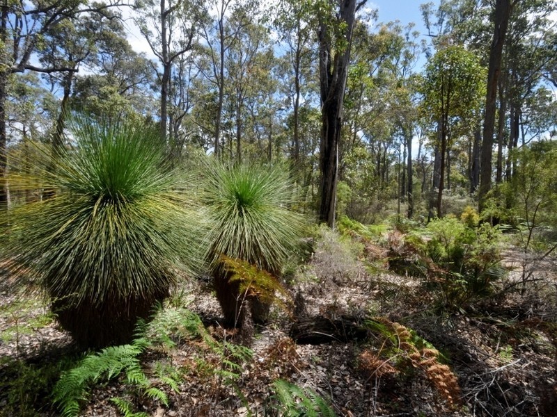 Lot 43 Karri Lane, Quinninup WA 6258