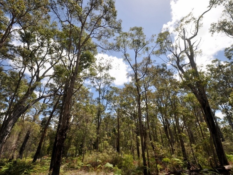 Lot 43 Karri Lane, Quinninup WA 6258