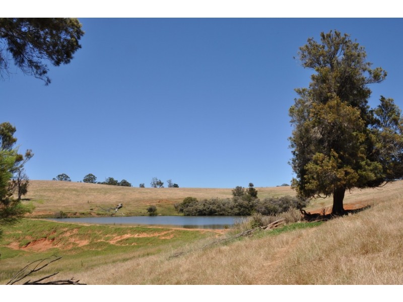 Lot 26 Vasse Highway, Pemberton WA 6260