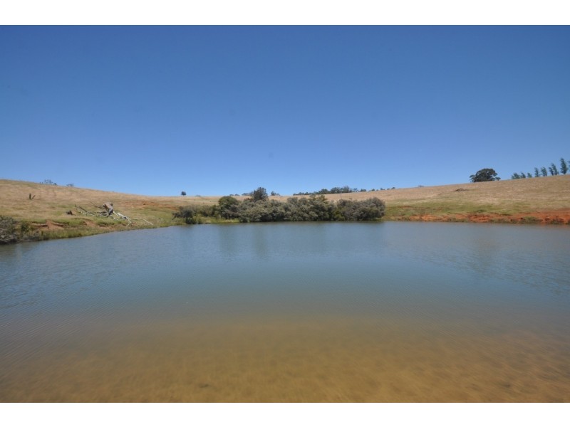 Lot 26 Vasse Highway, Pemberton WA 6260