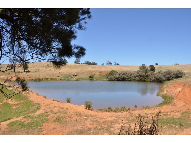 Lot 26 Vasse Highway, Pemberton WA 6260