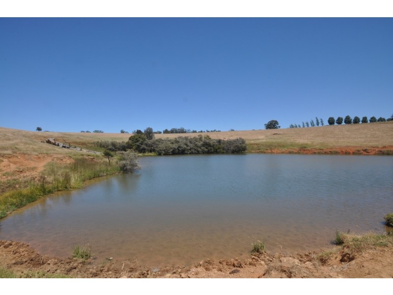 Lot 26 Vasse Highway, Pemberton WA 6260