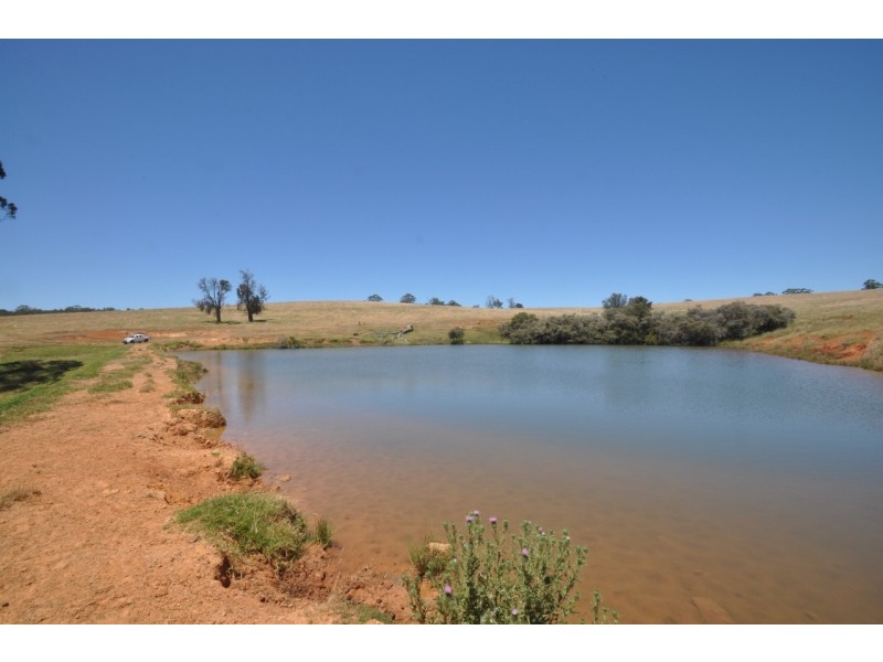 Lot 26 Vasse Highway, Pemberton WA 6260