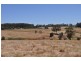 Lot 26 Vasse Highway, Pemberton WA 6260