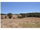 Lot 26 Vasse Highway, Pemberton WA 6260