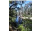 Lot 83 Radburn Road (Strachan), Manjimup WA 6258