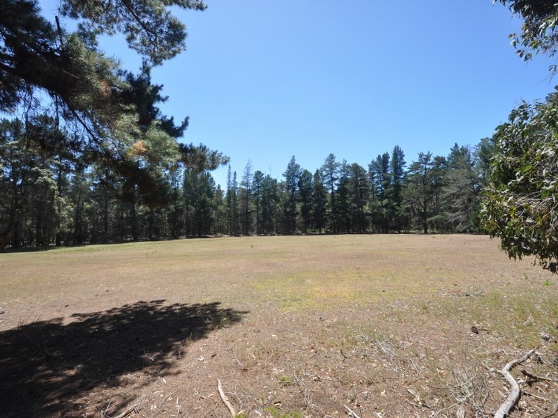Lot 83 Radburn Road (Strachan), Manjimup WA 6258