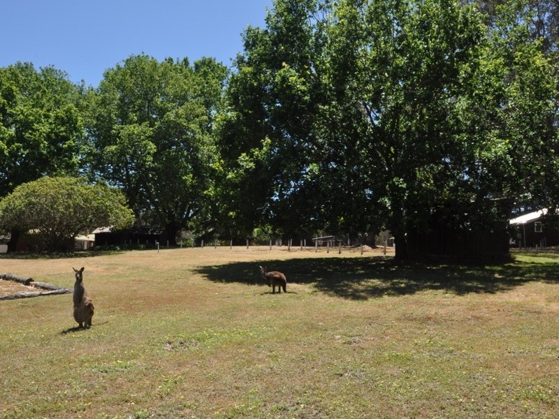Lot 83 Radburn Road (Strachan), Manjimup WA 6258