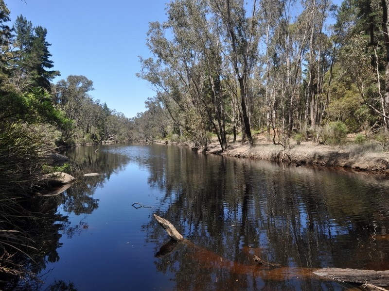 Lot 83 Radburn Road (Strachan), Manjimup WA 6258