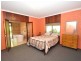 100 Conte Road, Pemberton WA 6260
