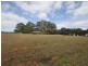 100 Conte Road, Pemberton WA 6260