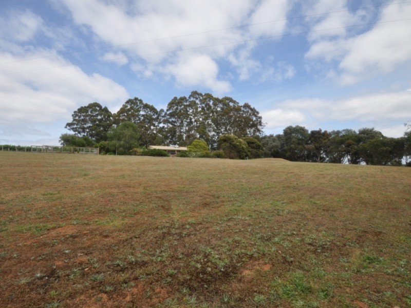 100 Conte Road, Pemberton WA 6260