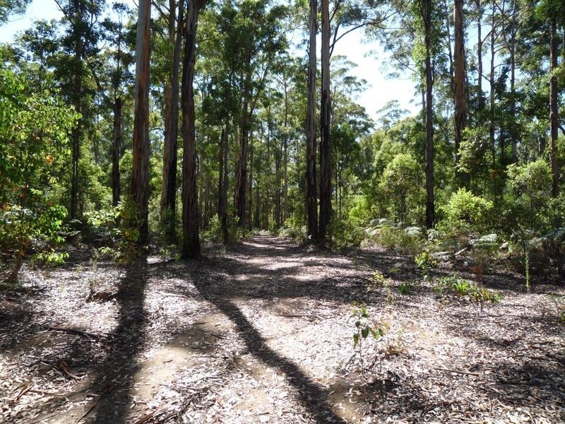 115 Karri Lane, Quinninup WA 6258
