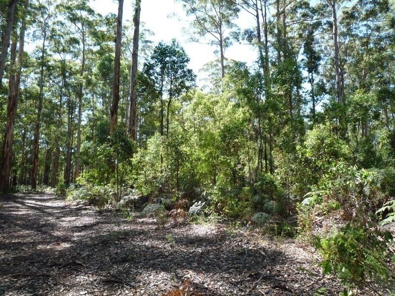 115 Karri Lane, Quinninup WA 6258