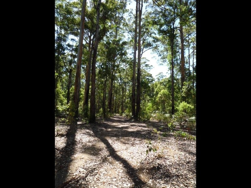 115 Karri Lane, Quinninup WA 6258