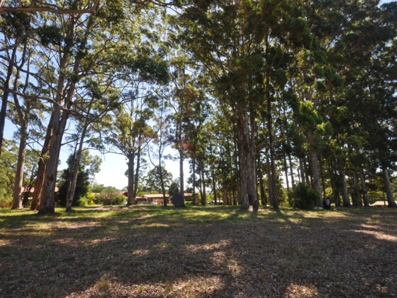 Lot 32 Ellis Street, Pemberton WA 6260