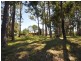 Lot 32 Ellis Street, Pemberton WA 6260