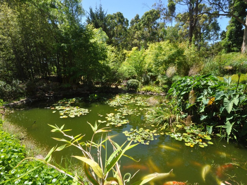 37 Woodgate Retreat, Manjimup WA 6258