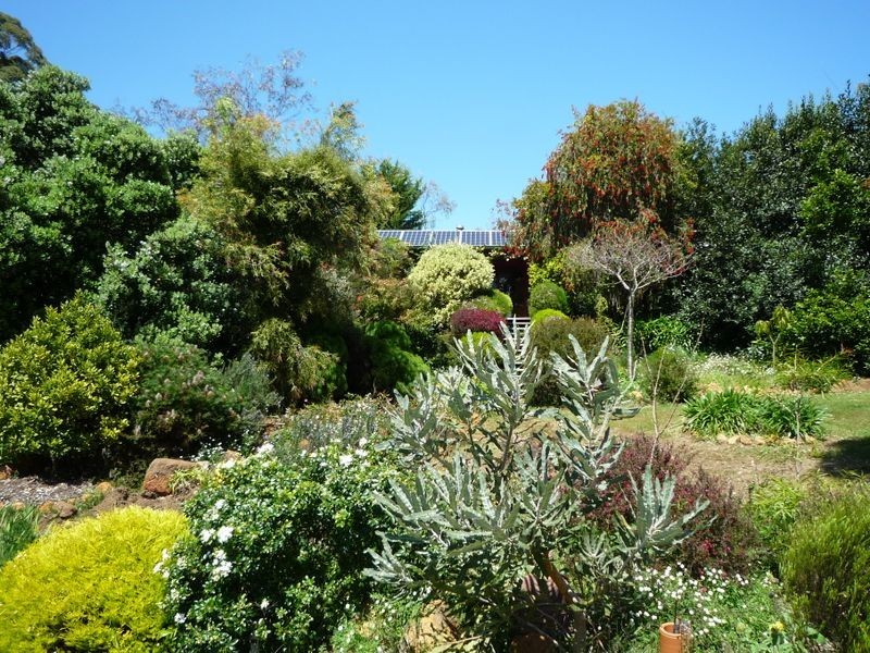 46 Clarrie Jones Place, Pemberton WA 6260