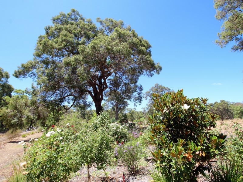 87 Balyan Retreat (PERUP), Manjimup WA 6258
