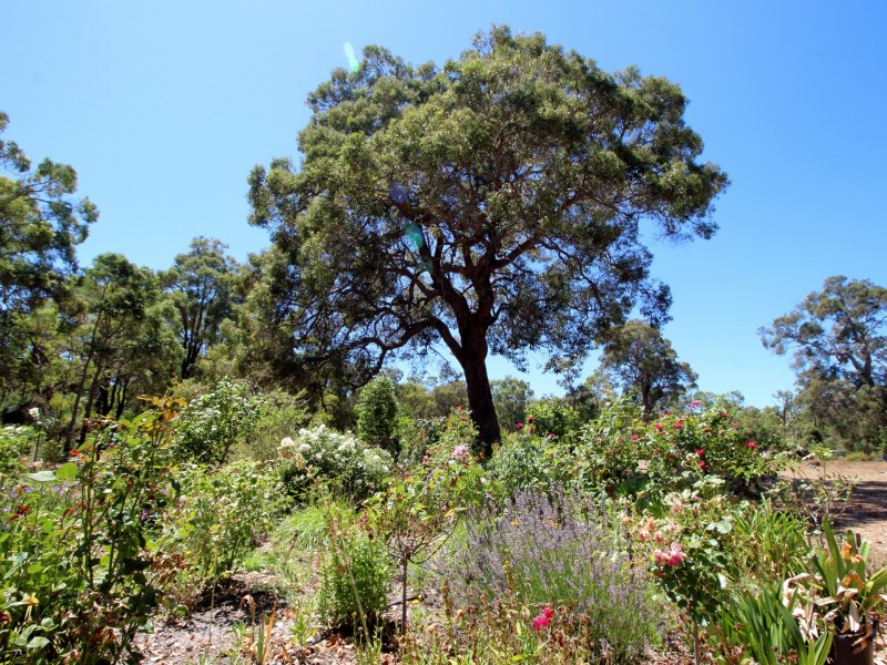 87 Balyan Retreat (PERUP), Manjimup WA 6258