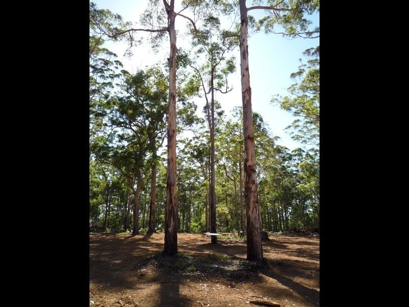 8161 Nelson Location, Pemberton WA 6260